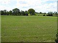 Clontyfinnan Townland