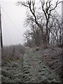 A frosty outlook on the walk to Lambden burn