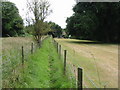 Footpath to Fleming Road, passing Ringleton Manor