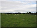 Carrivcashel townland