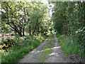 High Moor of Killiemore Lane