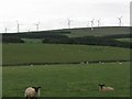 Wind farm near Stobswood