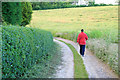 Approaching  a Bend in The Midshires Way