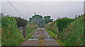 Track leading from main road south of New Quay