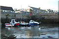 Swans in Porthleven Harbour