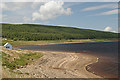 NR7030 : Lussa Loch Kintyre West Side by Hamish Kirkpatrick