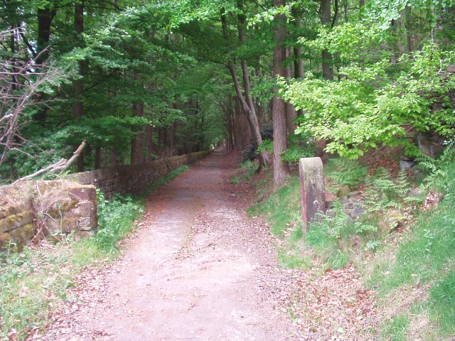 Former driveway from Agden House