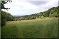 Field near St Helens woods