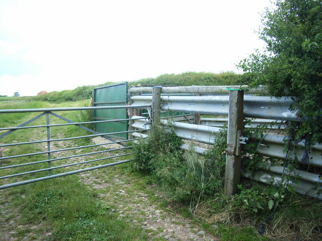 Cattle pen, on Hall Lane