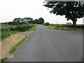 Looking W along road past Mill Down Farm