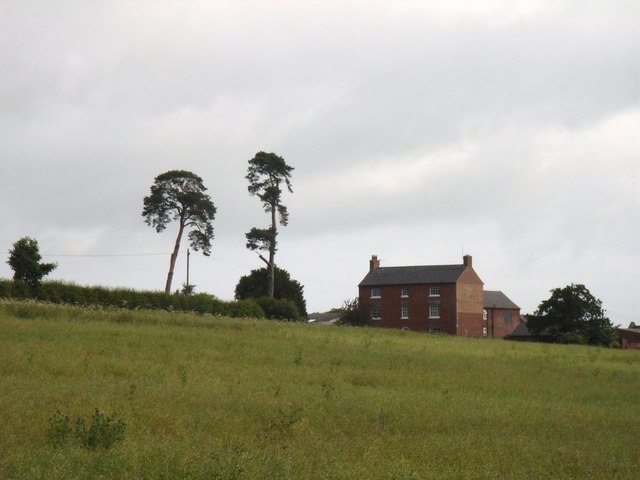 Lodge Farm, with Scots Pines