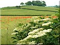 From the side of Silkstone Lane above Windmill Hill