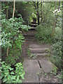 SK3875 : New Whittington - Footpath View of Brook Crossing and Steps by Alan Heardman