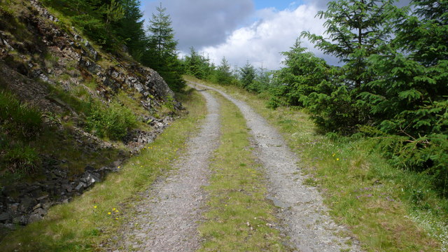 Forestry road, Craik Forest © Calum McRoberts cc-by-sa/2.0 :: Geograph ...