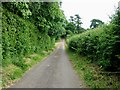 View along lane by Acrise Wood