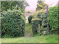 Footpath, Monkton Deverill