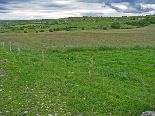 Burren meadow along the R480 road