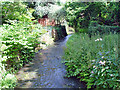 A stream in Chobham