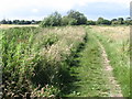 Footpath between Titchfield Canal and Titchfield Nature Reserve