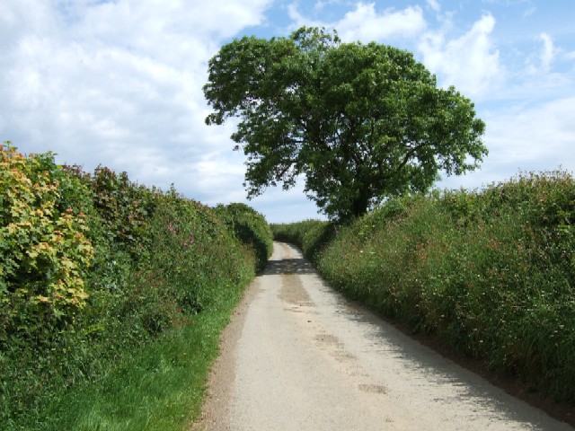 Atypical Cornish lane