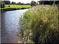 River Bladnoch