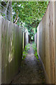 Path from New Farm Road going towards Jacklyns Lane, Alresford