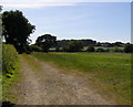 Footpath to Mill Wood from the Michelham Road