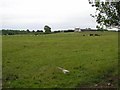 Ballymaconnelly Townland