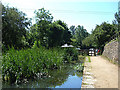 Daisy Nook Country Park