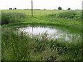 Small pond to the S of Shuttlesfield