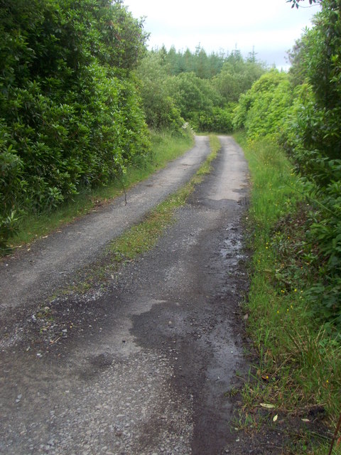 Lane near Lough Nadarragh