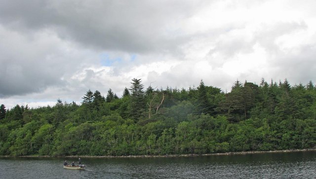 A stretch of the northern shoreline of Lough Corrib