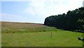 Woods and fields at Whitcombe Barn