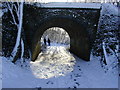 Footpath under a bridge of the Alban Way in winter