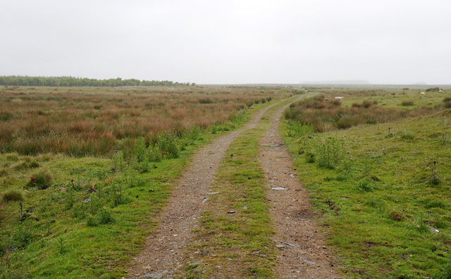 Track to Wester Watten Moss