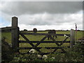 Paddock at Rame Common