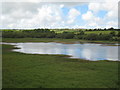 Part of Stithians Reservoir at Penhalvean