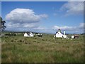 Dalchork houses