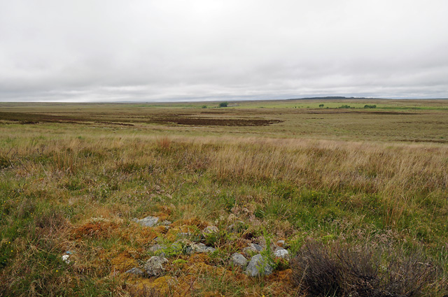 Moorland near Brae of Tormore