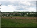 Farmland above Pembroke