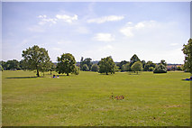 TQ3092 : Broomfield Park. London N13 by Christine Matthews