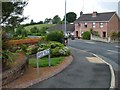 Brook Valley, Olmagh