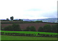 Ploughed fields on gently sloping hills at Peartree Hill