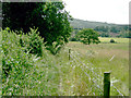 Footpath south of Storrington