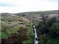 Cheesden Brook, near Rochdale