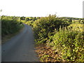 Looking down Breck Lane