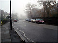 A misty day at Central Hill, Upper Norwood