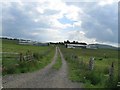 Farm buildings and track, not marked on my map