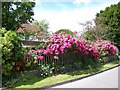 Cottage garden, Coombe Bissett