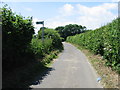 Footpath crossing Ferne Lane near Chalksole